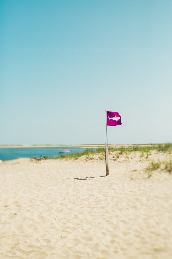 Photograph of shark flag on cape cod beach as wall art 