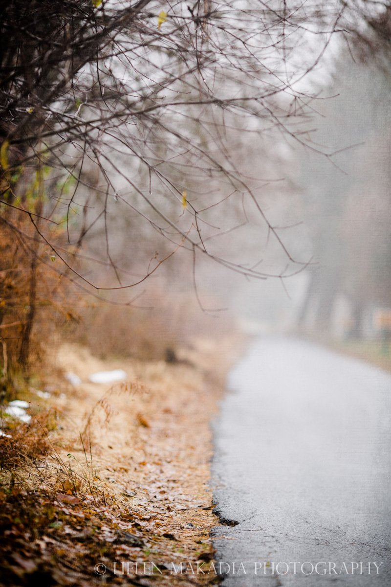 Photograph of a Foggy Autumn and Winter Road in Nature Wall Print