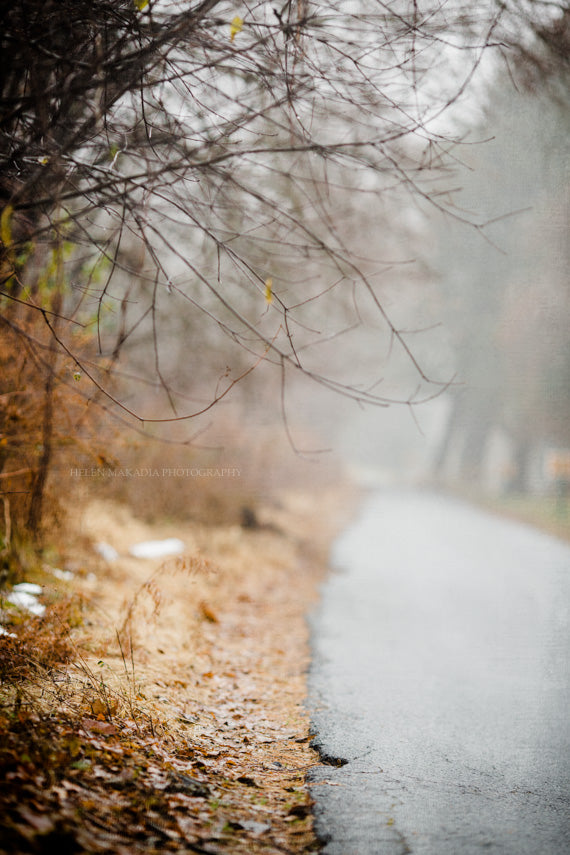 Nature Path Print