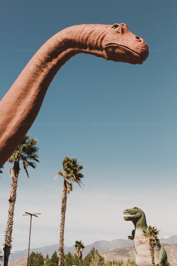 Brontosaurus and T-Rex in the desert photograph