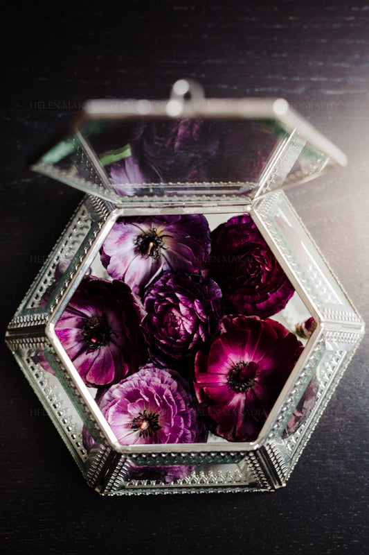 Purple Ranunculus in a glass treasure box