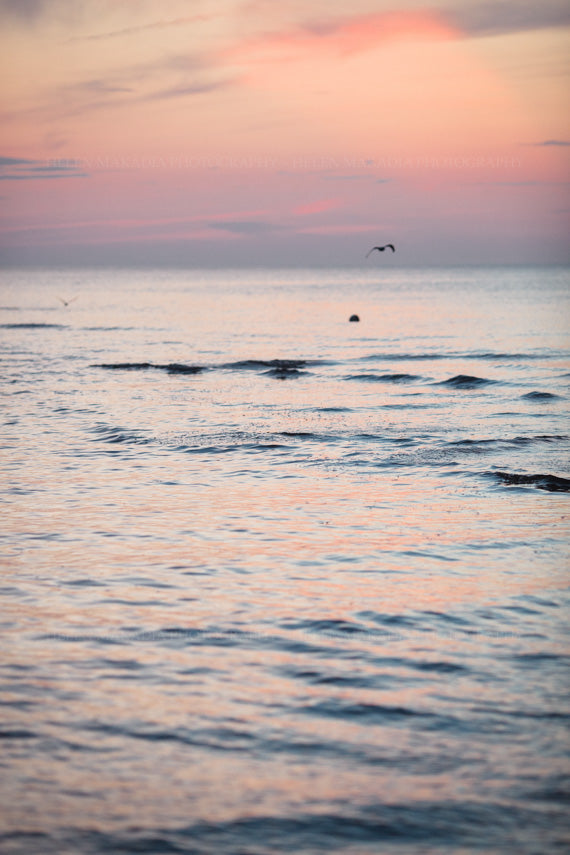 Photograph of Sunset Colors Reflecting Off the Waters