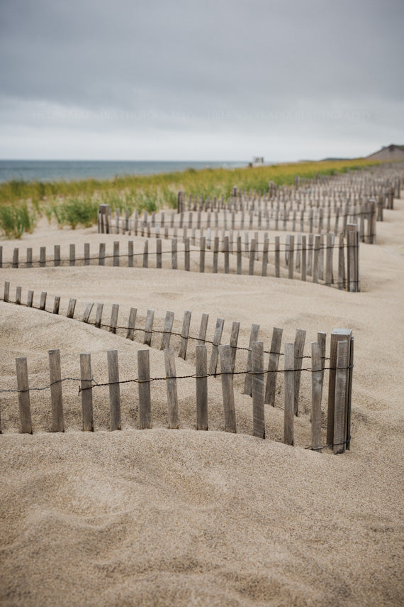Fences and Sand Dunes at Nauset Beach