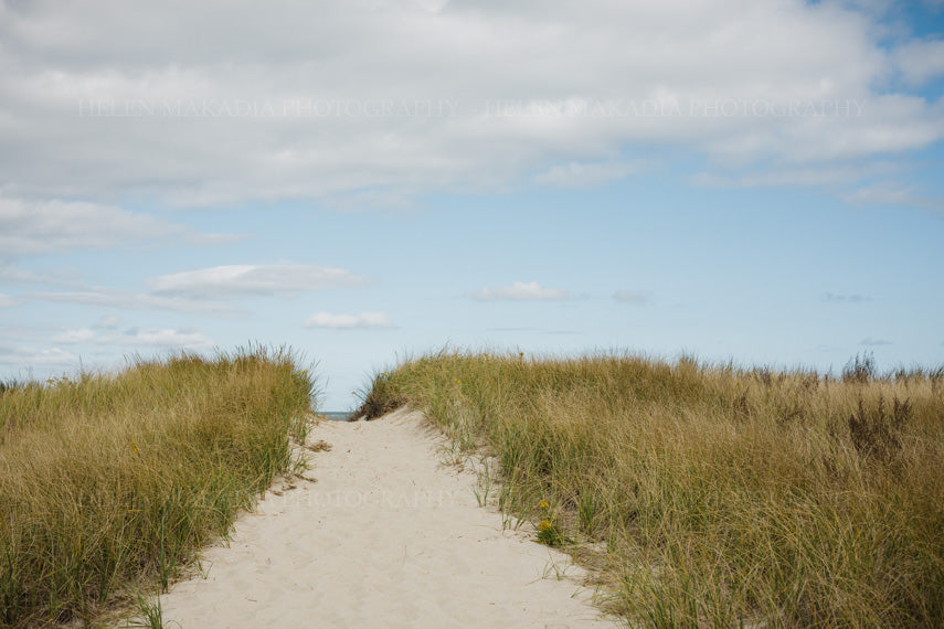 Path to the Ocean Water Photograph
