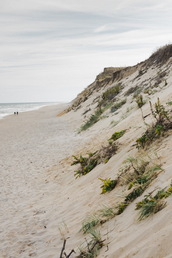 Marconi Cliffs and Beach Print