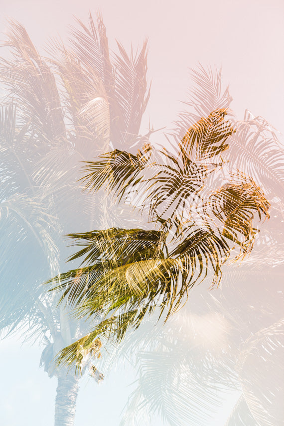 Double Exposure Palm Trees Artwork