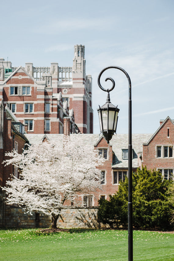 Severance Green with Tower Court and Severance Hall in the background at Wellesley College, Photograph as Wall Art