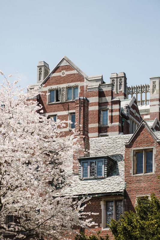 Severance and Tower Court Halls in Springtime Photograph as Wall Art
