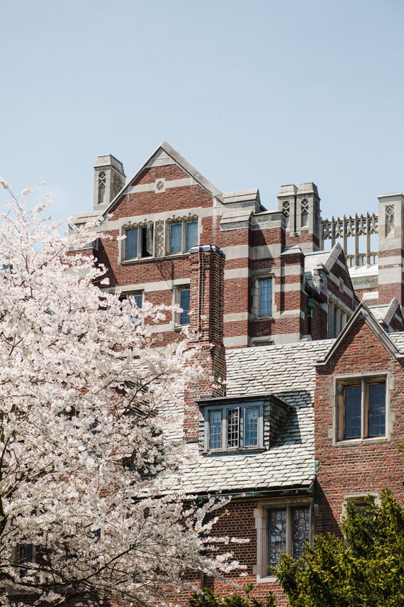 Severance and Tower Court Halls in Springtime Photograph as Wall Art