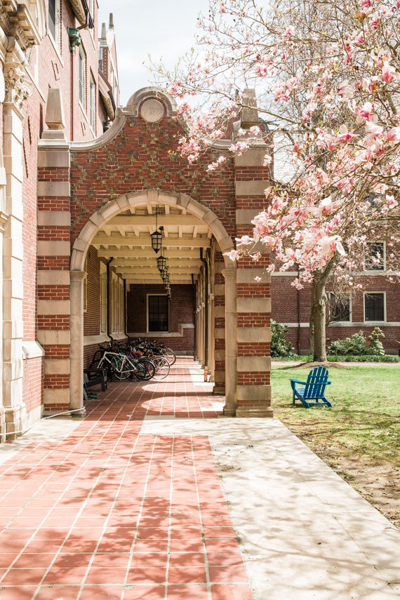 Pomeroy Hall in Spring, Wellesley College Photograph