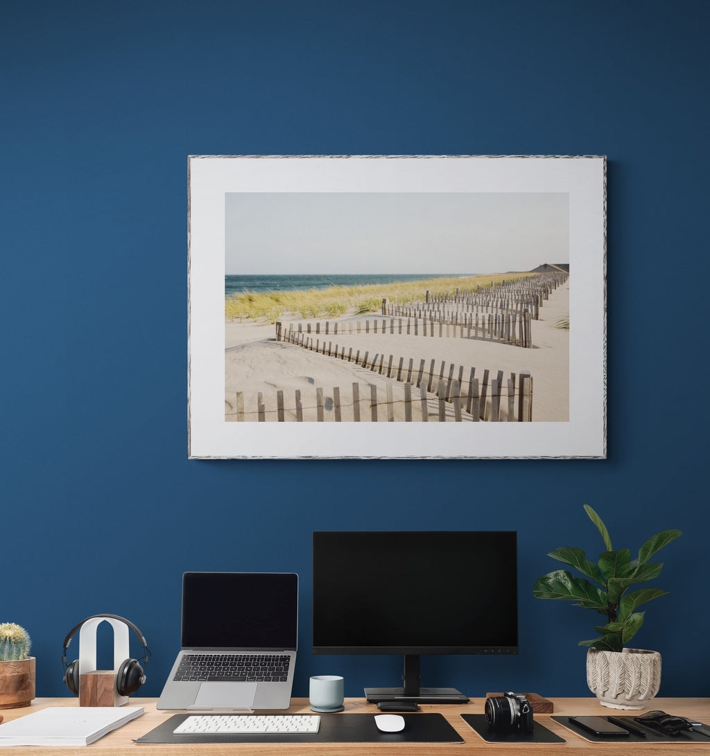 Windblown Dunes and Fences, Cape Cod Photograph