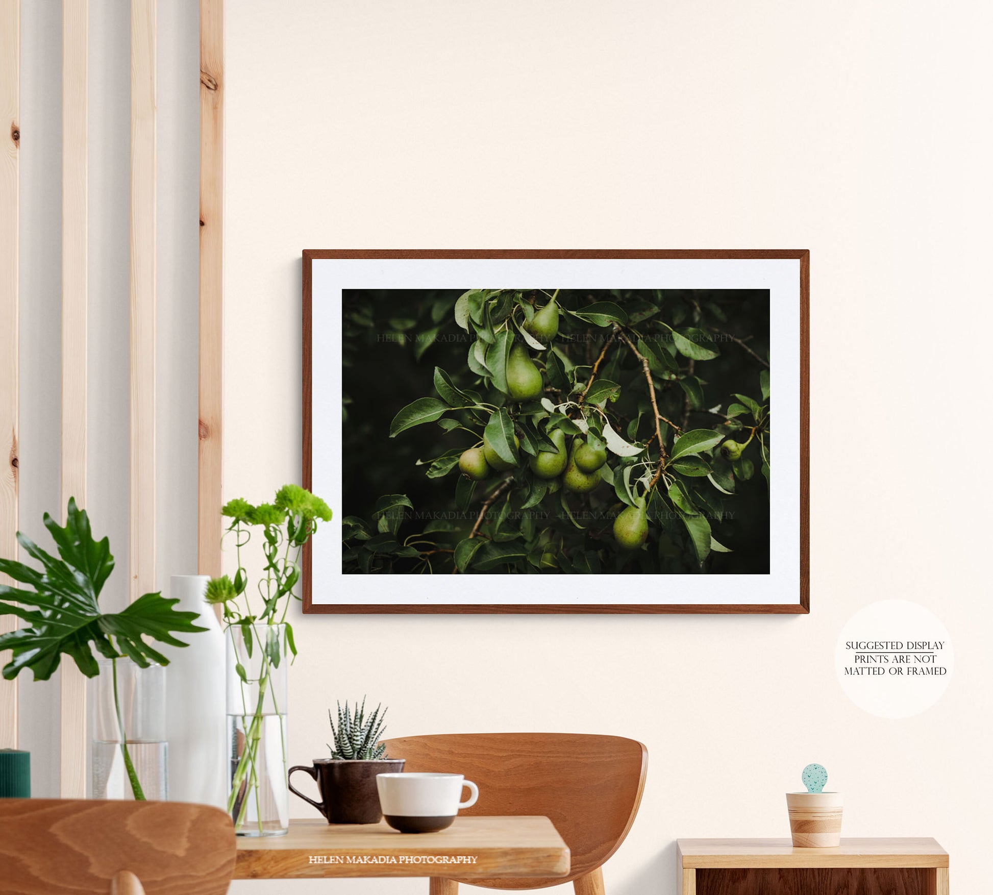Pear Tree with Pear Fruit Framed in a Kitchen