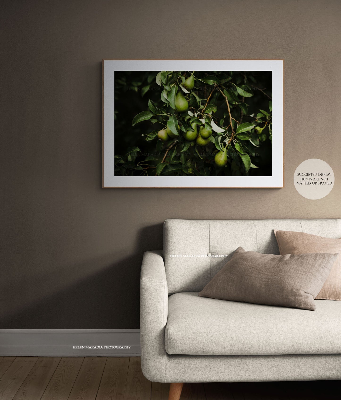 Pear Tree with Pear Fruit Framed in a Living Room