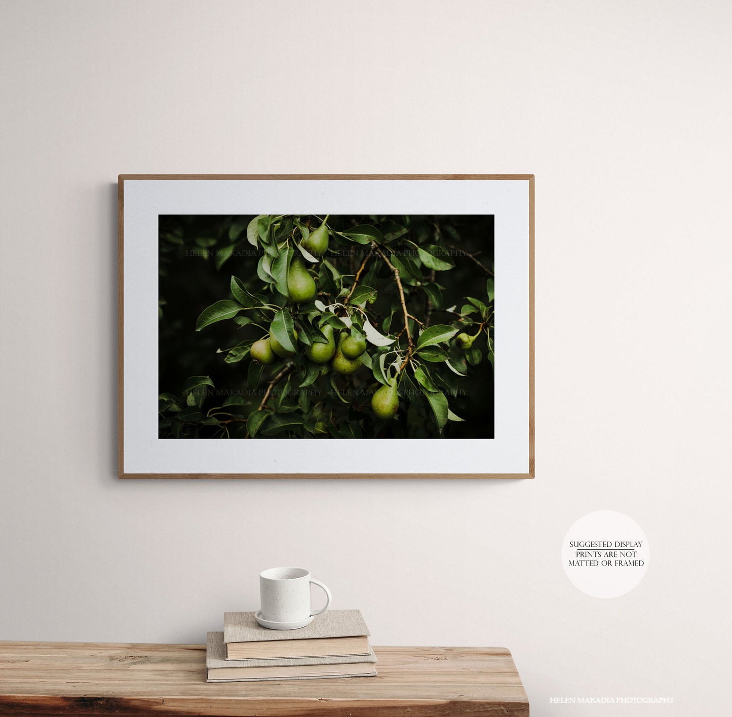 Pear Tree with Pear Fruit Framed in a Kitchen