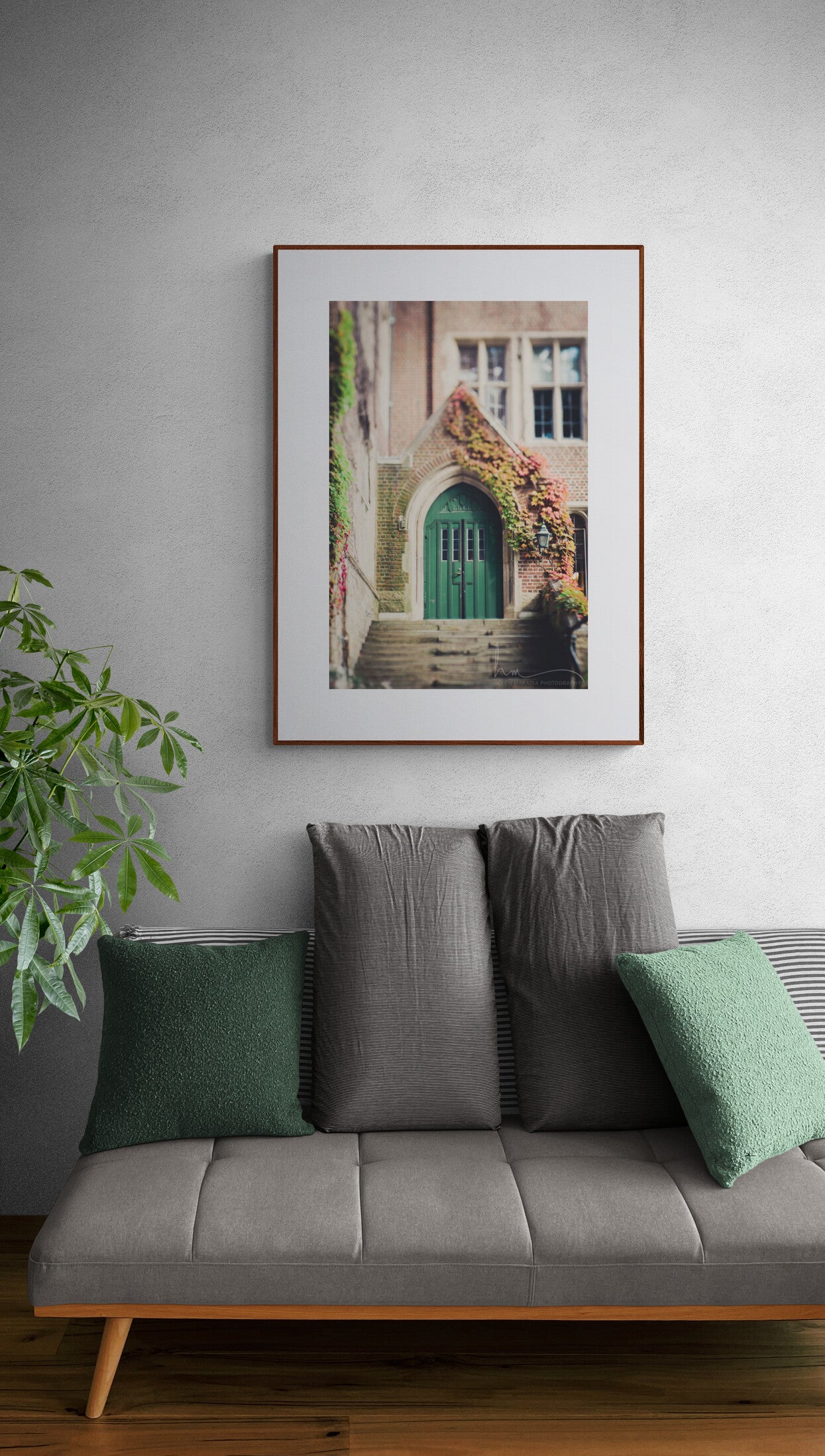 Photograph of a door and ivy at wellesley college as wall art as home decor