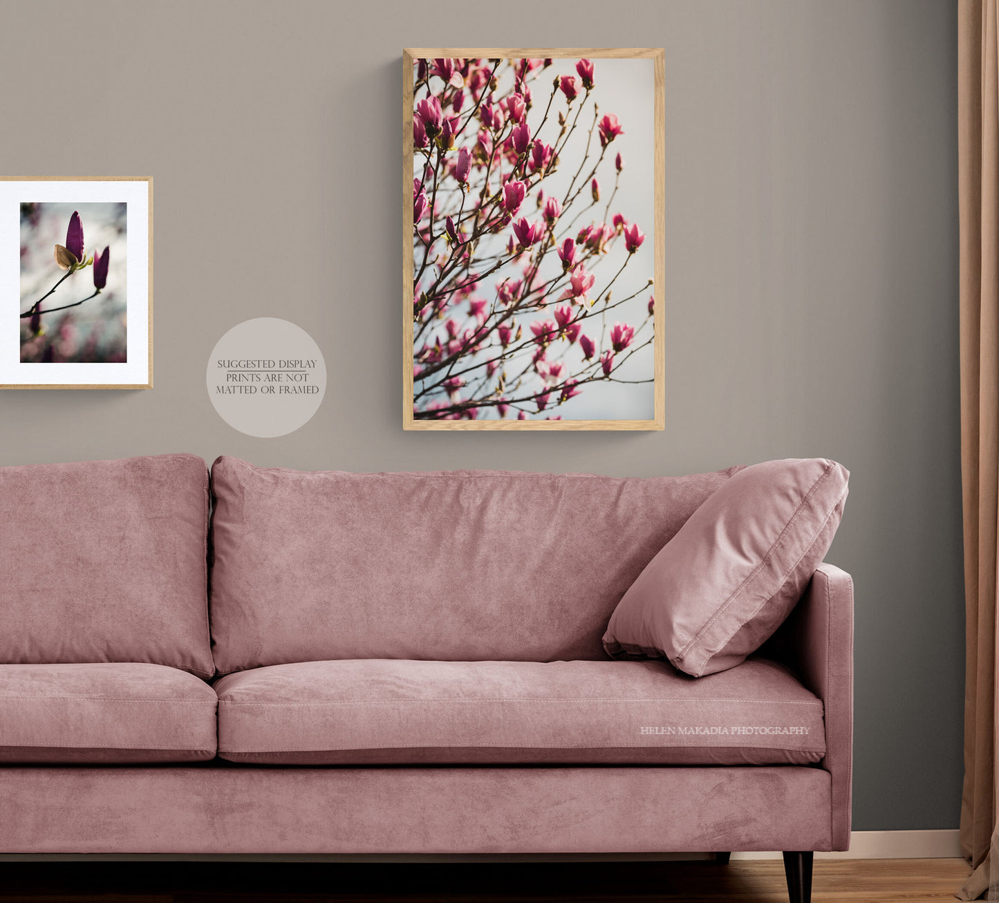 Pink Magnolias Framed Print above a Couch