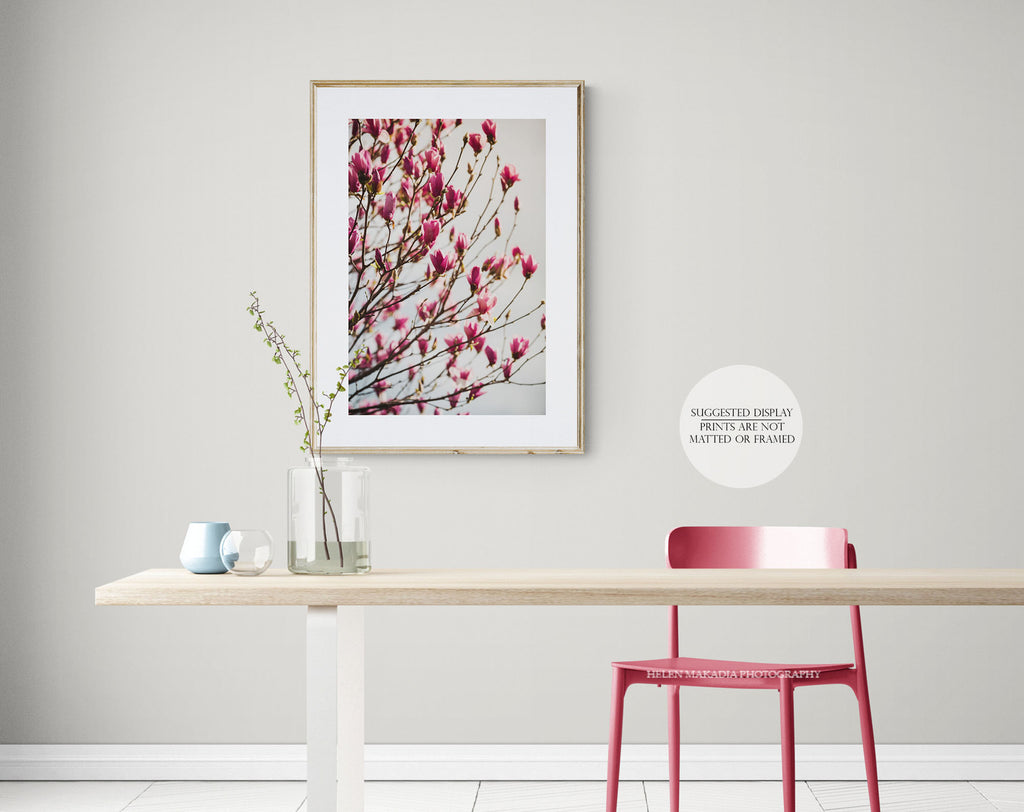 Pink Magnolias print brightens up an office