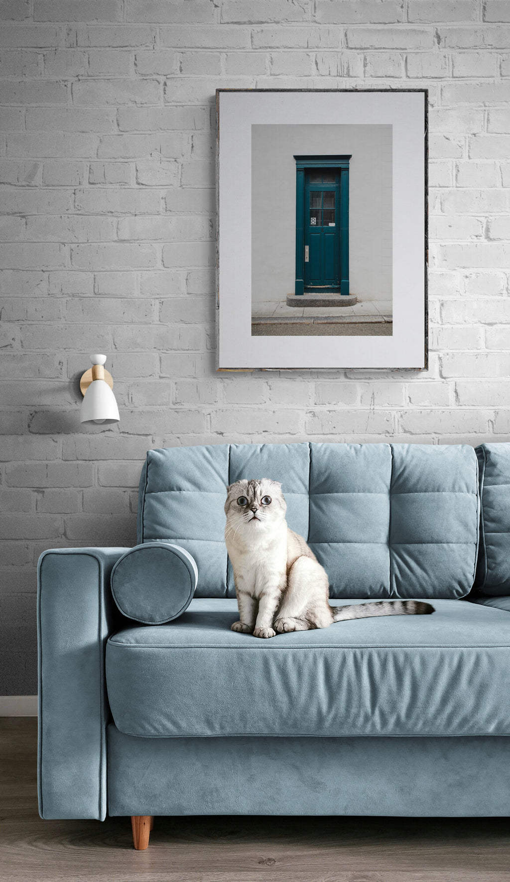 Photograph of Teal Blue Door in Quebec City as Wall art in a living room with a cat