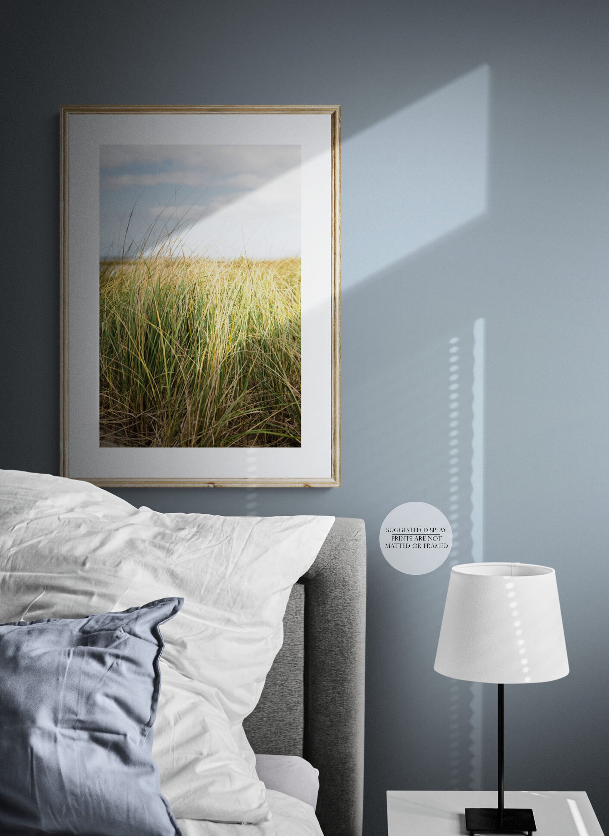Sea Grass and Sand Dune Photograph Framed