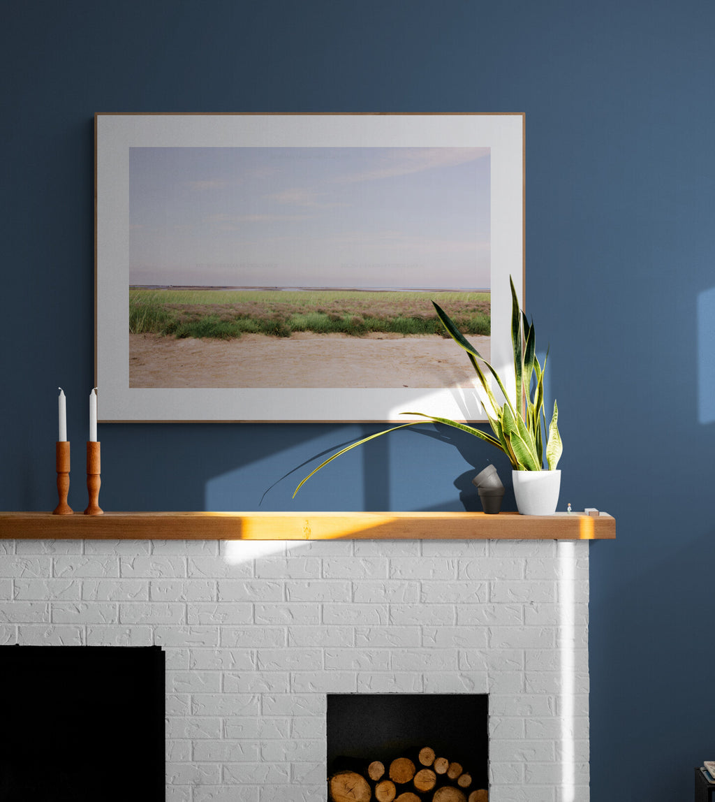 Sea Lavender Cape Cod Photograph Print as Mantle Wall Art