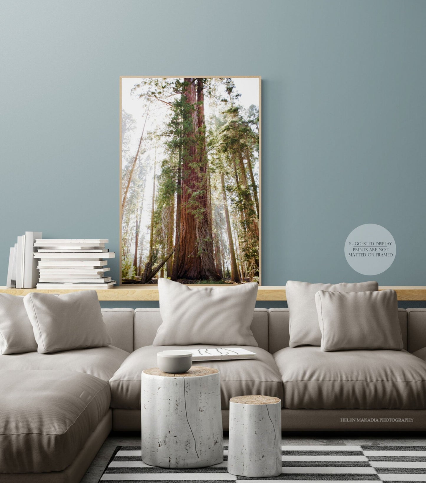 Sequoia Tree Print in a Living Room