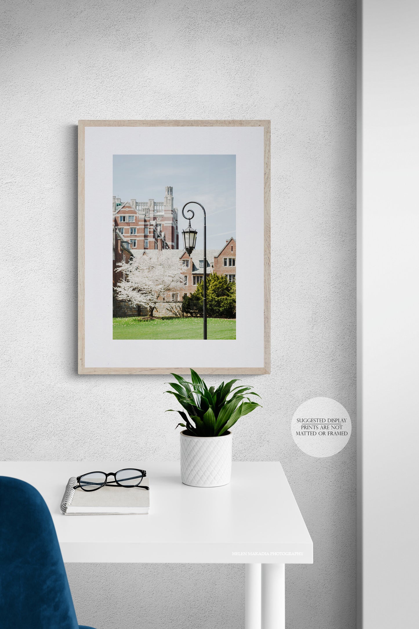 Severance Green with Tower Court and Severance Hall in the background at Wellesley College, Photograph as Wall Art in a modern office