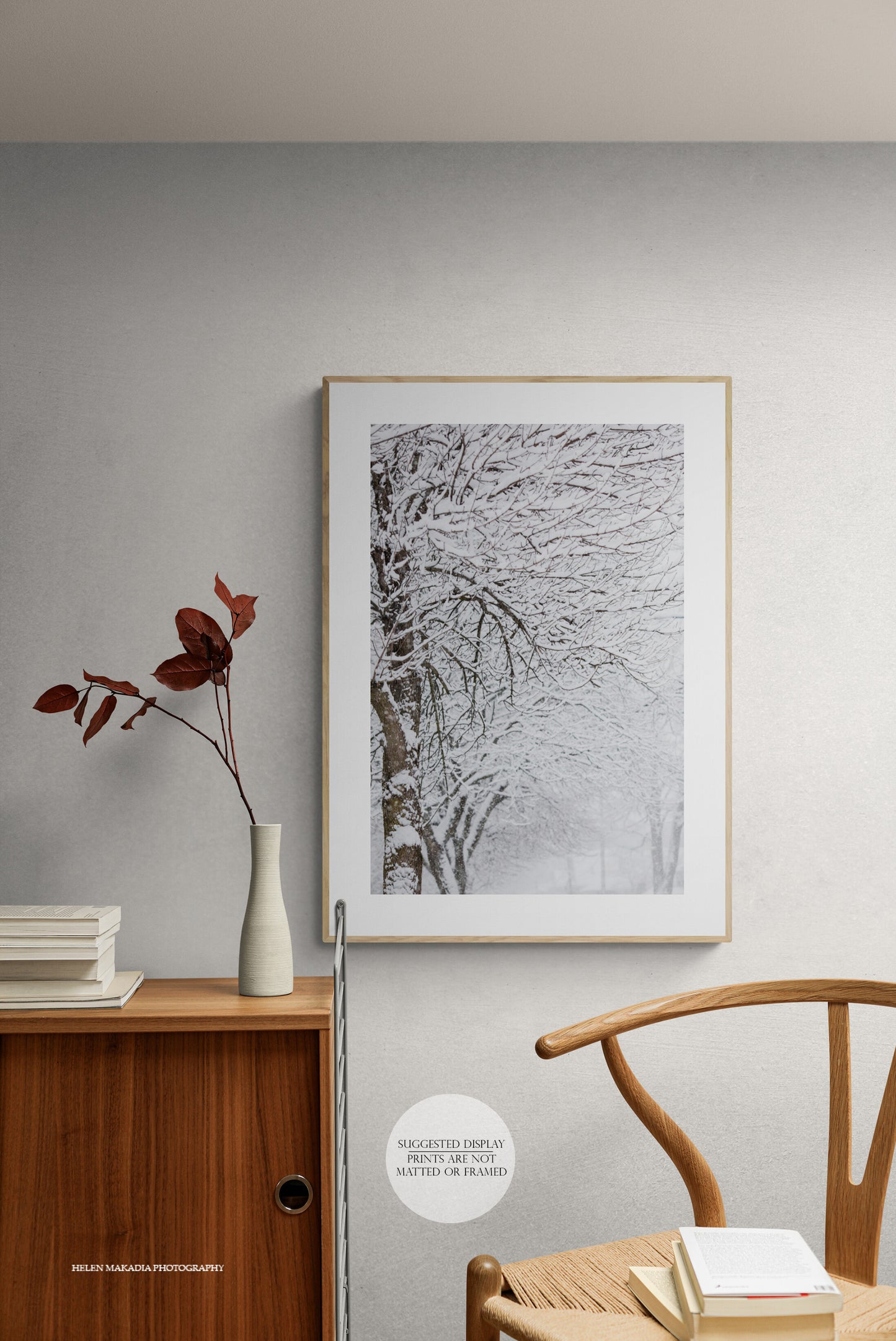 Framed Photograph of Snowy Winter Snow Storm Day in an Entryway