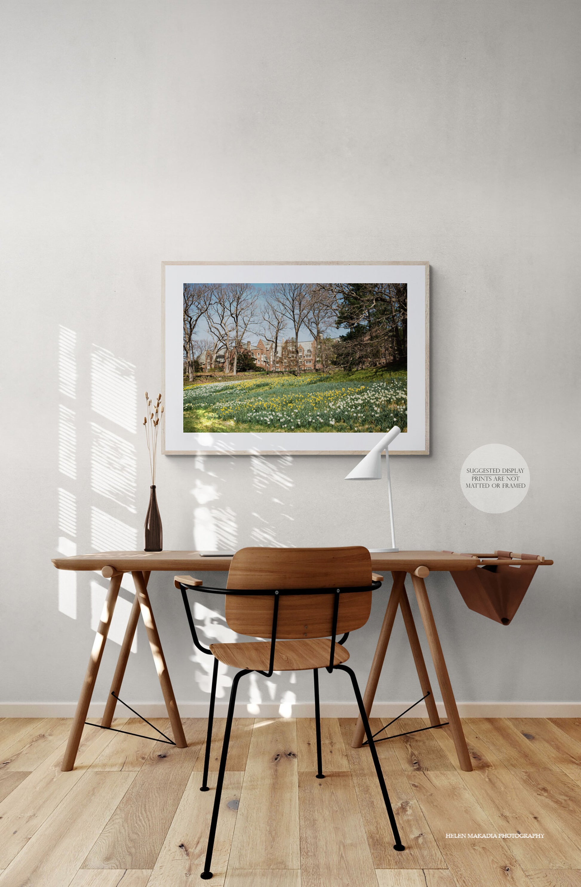Daffodil Hill and Stone Davis at Wellesley College Photograph as Framed Wall Art in an Home Office