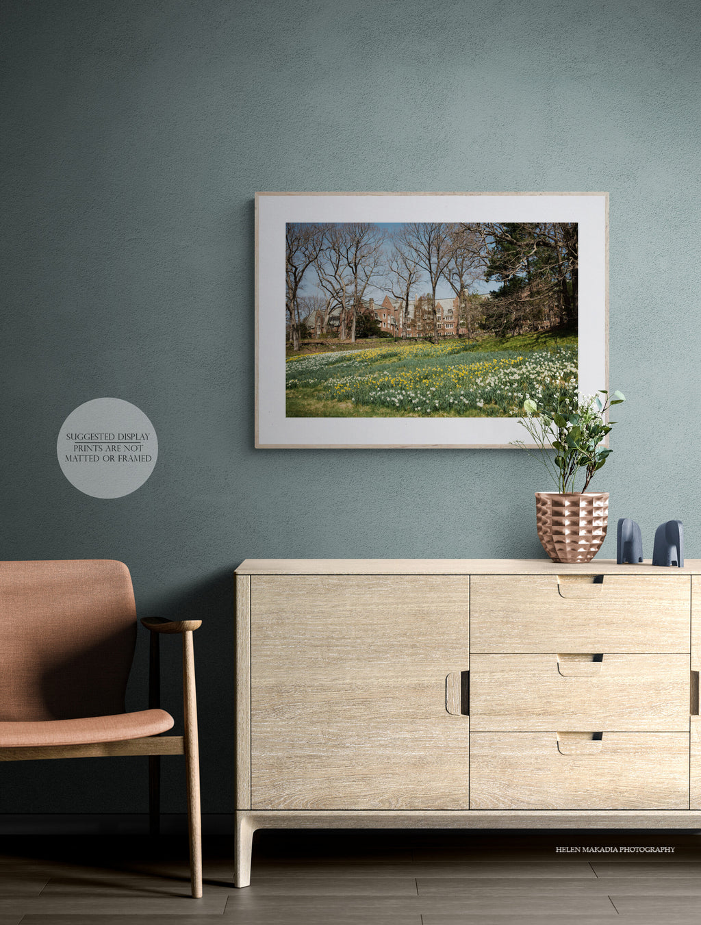 Daffodil Hill and Stone Davis at Wellesley College Photograph as Framed Wall Art in an entryway