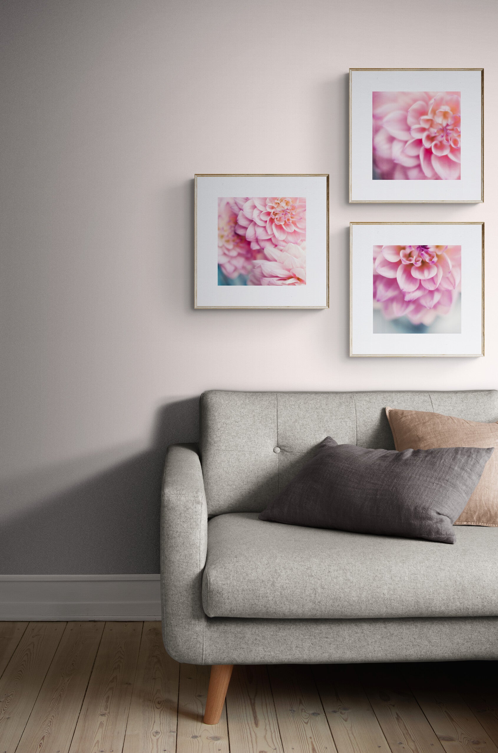 Three Dahlia Photographs as Living Room Wall Art 