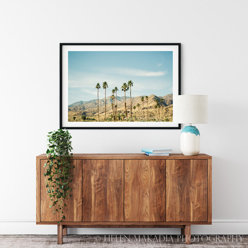 Palm Springs Desert Print in an Entryway Home