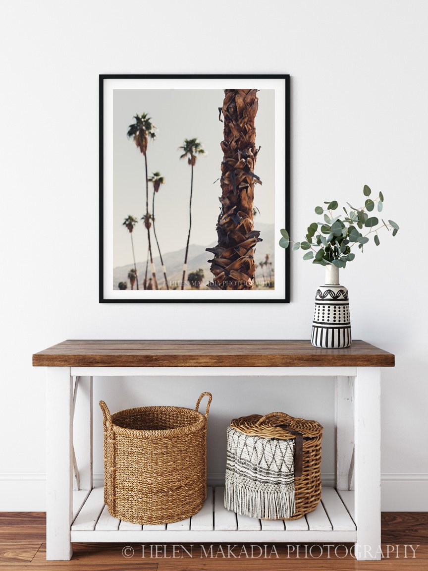 Palm Trees Photograph in an Entryway