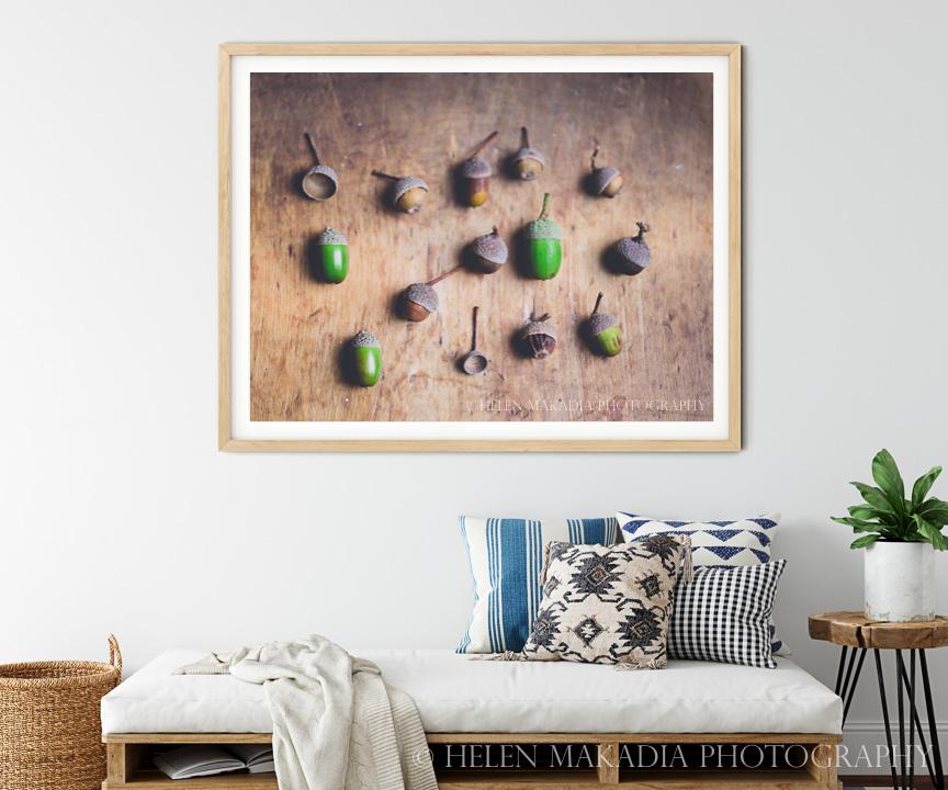 A Photograph of Acorns on the wall
