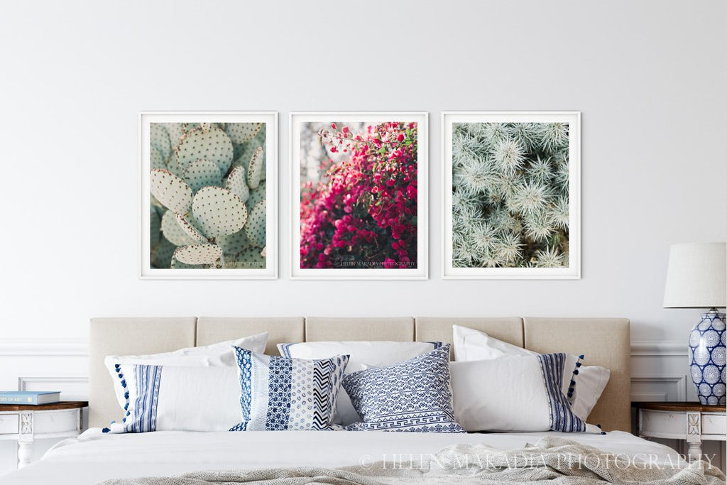 Set of 3 Desert Details on a Bedroom Wall