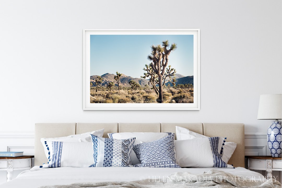 Joshua Tree National Park Framed Print in a Bedroom