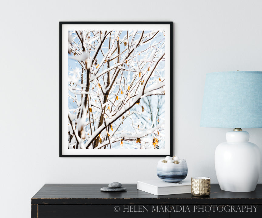 Photograph print of snow covered branches and blue skies above a console