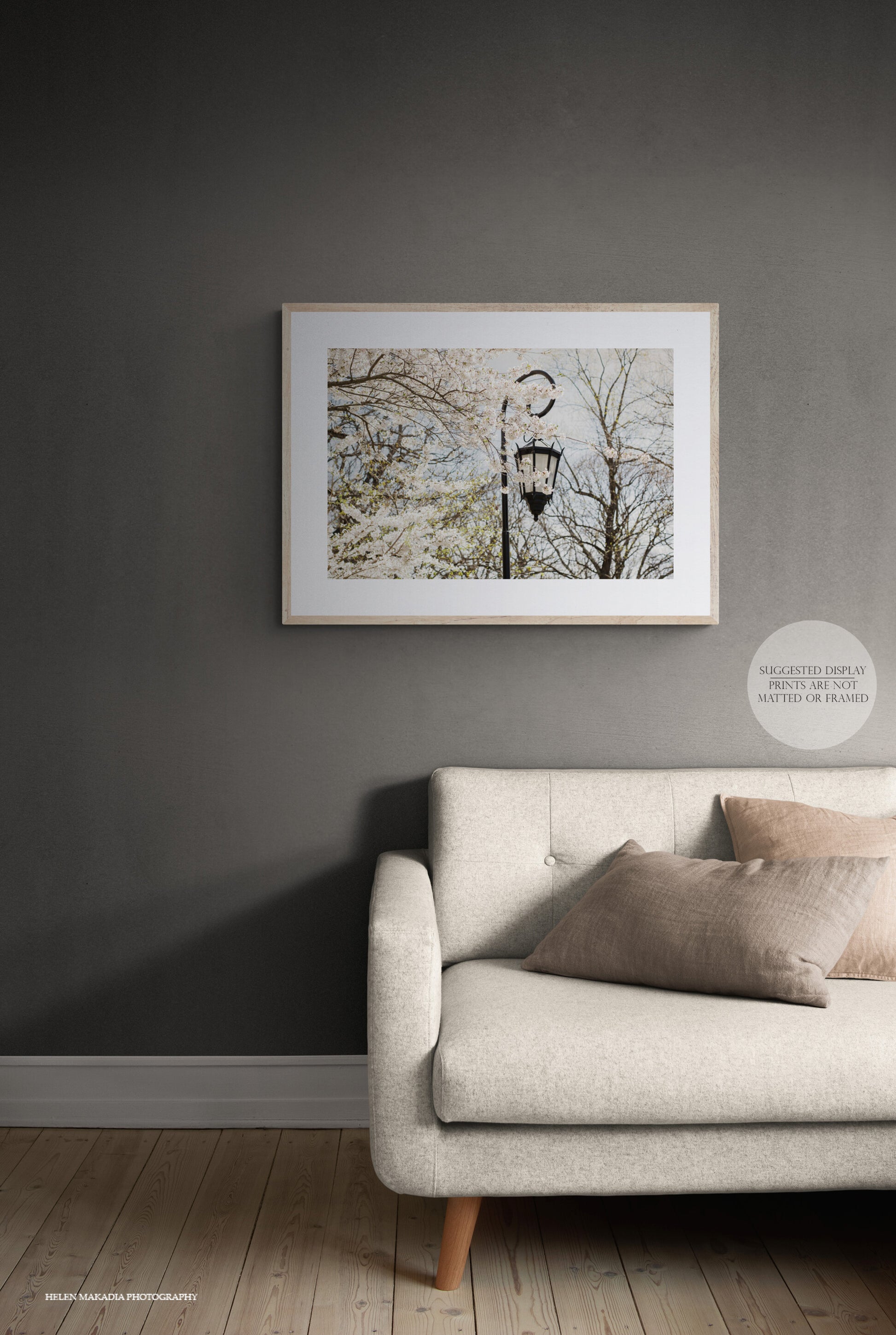 Framed Photograph of Wellesley College Lantern amongst white blossoms in springtime shown in a living room