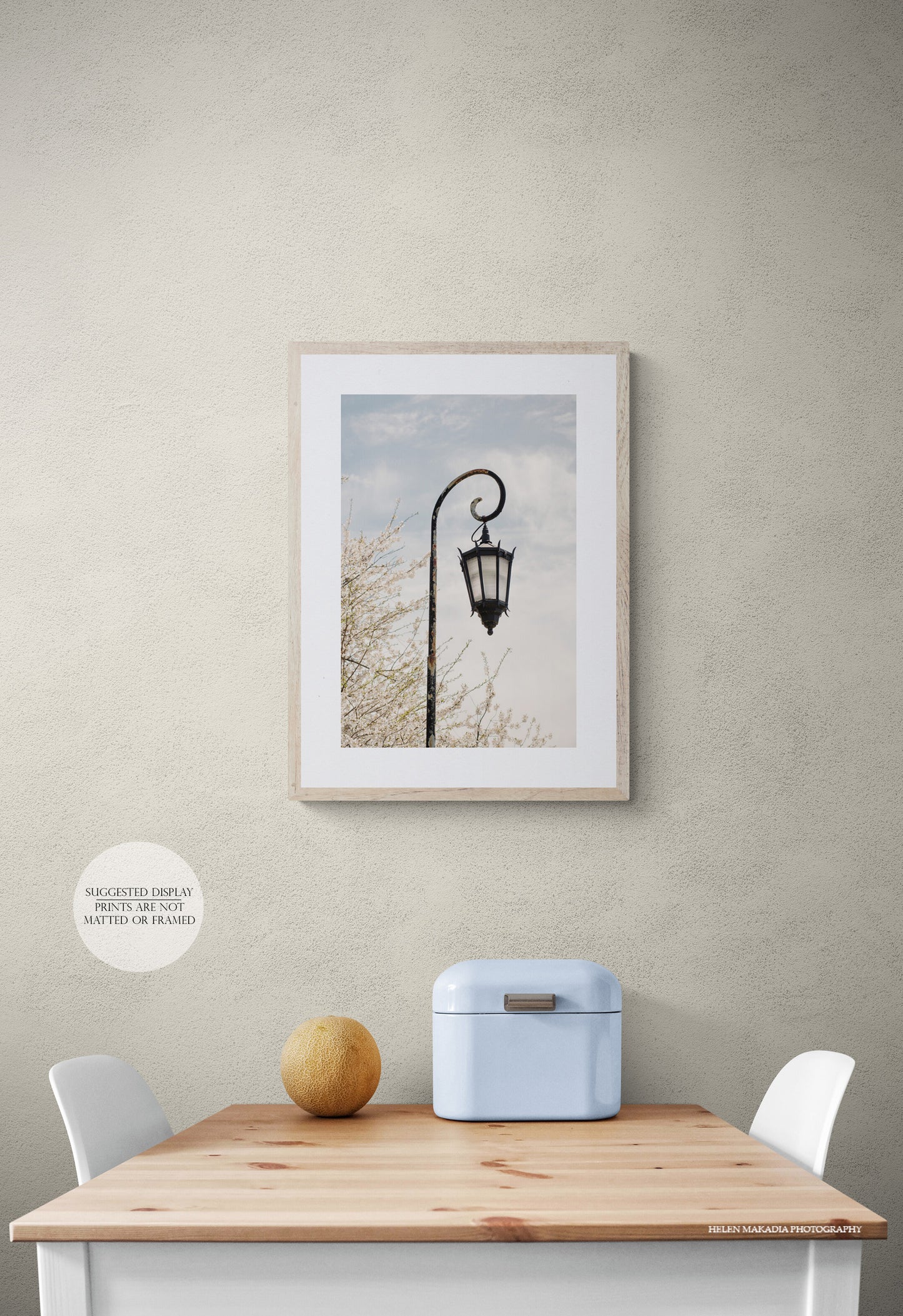 Wellesley College lantern amongst white spring blossoms, photograph as wall art in the kitchen