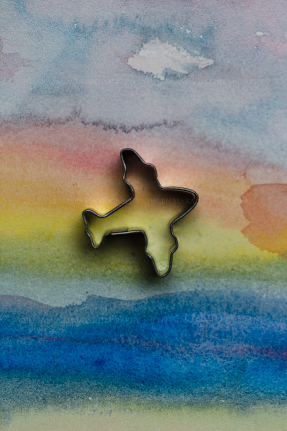 Rainbow and Plane Wall Art